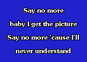 Say no more
baby I get the picture
Say no more 'cause I'll

never understand