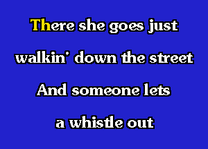 There she goes just
walkin' down the street
And someone lets

a whistle out