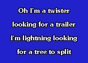 Oh I'm a twister
looking for a trailer
I'm lightning looking

for a tree to split