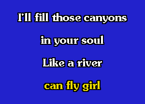 I'll fill those canyons

in your soul
Like a river

can fly girl