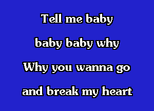 Tell me baby
baby baby why

Why you wanna go

and break my heart