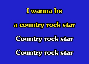I wanna be
a country rock star

Country rock star

Country rock star I