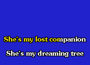 She's my lost companion

She's my dreaming tree
