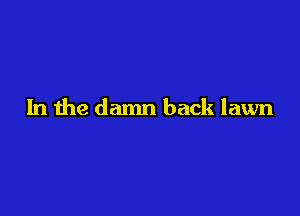 In the damn back lawn