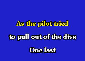 As the pilot tried

to pull out of the dive

One last