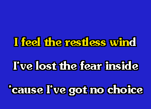 I feel the restless wind
I've lost the fear inside

'cause I've got no choice