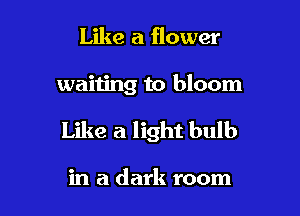 Like a flower

waiting to bloom

Like a light bulb

in a dark room