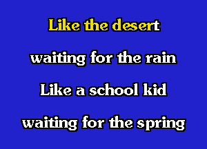 Like the desert
waiting for the rain
Like a school kid

waiting for the spring