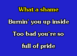 What a shame

Bumin' you up inside

Too bad you're so

full of pride