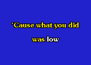'Cause what you did

was low