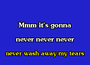 Mmm it's gonna
never never never

never wash away my tears