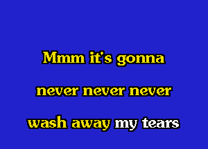 Mmm it's gonna
never never never

wash away my tears