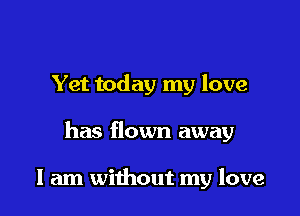 Yet today my love

has flown away

I am without my love