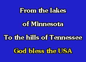 From the lakes
of Minnesota
To the hills of Tennessee

God bless the USA