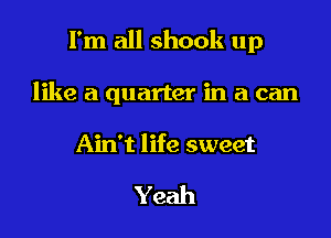 I'm all shook up

like a quarter in a can

Ain't life sweet

Yeah