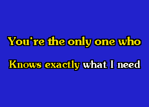 You're the only one who

Knows exactly what I need