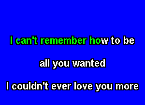 I can't remember how to be

all you wanted

I couldn't ever love you more