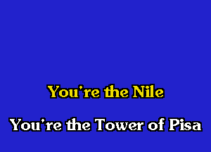 You're the Nile

You're the Tower of Pisa