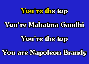 You're the top
You're Mahatma Gandhi
You're the top

You are Napoleon Brandy