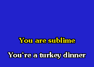 You are sublime

You're a turkey dinner