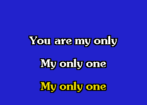 You are my only

My only one

My only one
