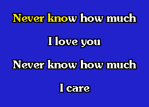 Never know how much
I love you
Never know how much

I care