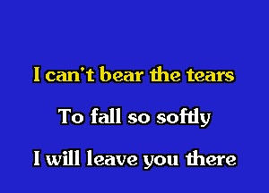 I can't bear the tears

To fall so softly

I will leave you were