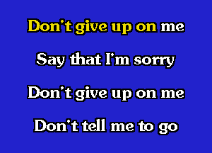 Don't give up on me
Say that I'm sorry
Don't give up on me

Don't tell me to go