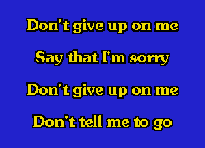 Don't give up on me
Say that I'm sorry
Don't give up on me

Don't tell me to go