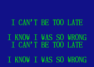 I CANIT BE TOO LATE

I KNOW I WAS SO WRONG
I CANIT BE TOO LATE

I KNOW I WAS SO WRONG