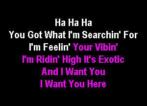 Ha Ha Ha
You Got What I'm Searchin' For
I'm Feelin' Your Vibin'

I'm Ridin' High It's Exotic
And I Want You
lWant You Here