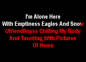 I'm Alone Here
With Emptiness Eagles And Snow
Ufriendliness Chilling My Body
And Taunting With Pictures
Of Home