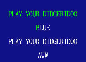 PLAY YOUR DIDGERIDOO
BLUE

PLAY YOUR DIDGERIDOO
AW