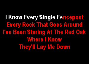 I Know Every Single Fencepost
Every Rock That Goes Around
I've Been Staring At The Red Oak
Where I Know
They'll Lay Me Down
