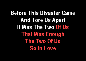 Before This Disaster Came
And Tore Us Apart
It Was The Two Of Us

That Was Enough
The Two Of Us
So In Love
