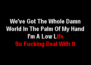 We've Got The Whole Damn
World In The Palm Of My Hand

I'm A Low Life
So Fucking Deal With It