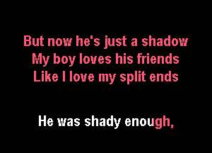 But now he's just a shadow
My boy loves his friends

Like I love my split ends

He was shady enough,
