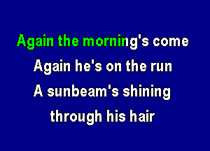 Again the morning's come
Again he's on the run

A sunbeam's shining

through his hair
