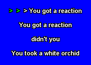 za t) o You got a reaction

You got a reaction

didn't you

You took a white orchid
