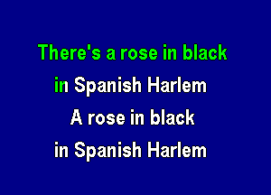 There's a rose in black
in Spanish Harlem
A rose in black

in Spanish Harlem
