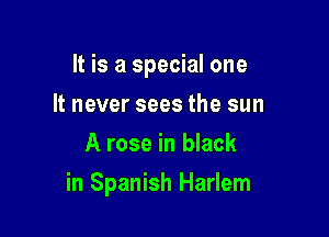It is a special one

It never sees the sun
A rose in black
in Spanish Harlem