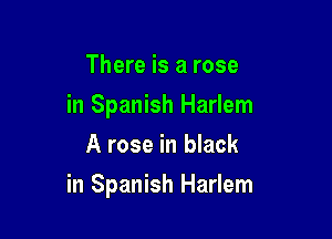 There is a rose
in Spanish Harlem
A rose in black

in Spanish Harlem