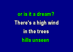 or is it a dream?
There's a high wind

in the trees
hills unseen