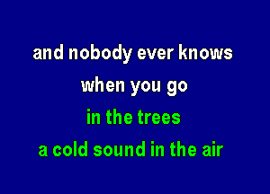 and nobody ever knows

when you go
in the trees
a cold sound in the air