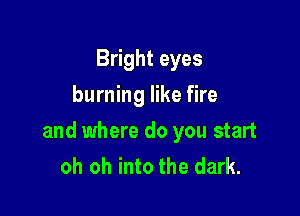 Bright eyes
burning like fire

and where do you start
oh oh into the dark.