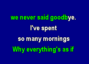 we never said goodbye.
I've spent

so many mornings
Why everything's as if