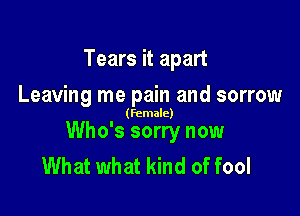 Tears it apart

Leaving me pain and sorrow

(female)

Who's sorry now
What what kind of fool
