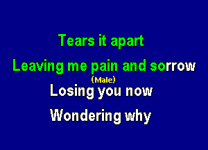 Tears it apart
Leaving me pain and sorrow

(Male)

Losing you now

Wondering why