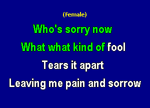 (female)

Who's sorry now
What what kind of fool

Tears it apart

Leaving me pain and sorrow