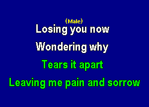 (Male)

Losing you now
Wondering why

Tears it apart

Leaving me pain and sorrow